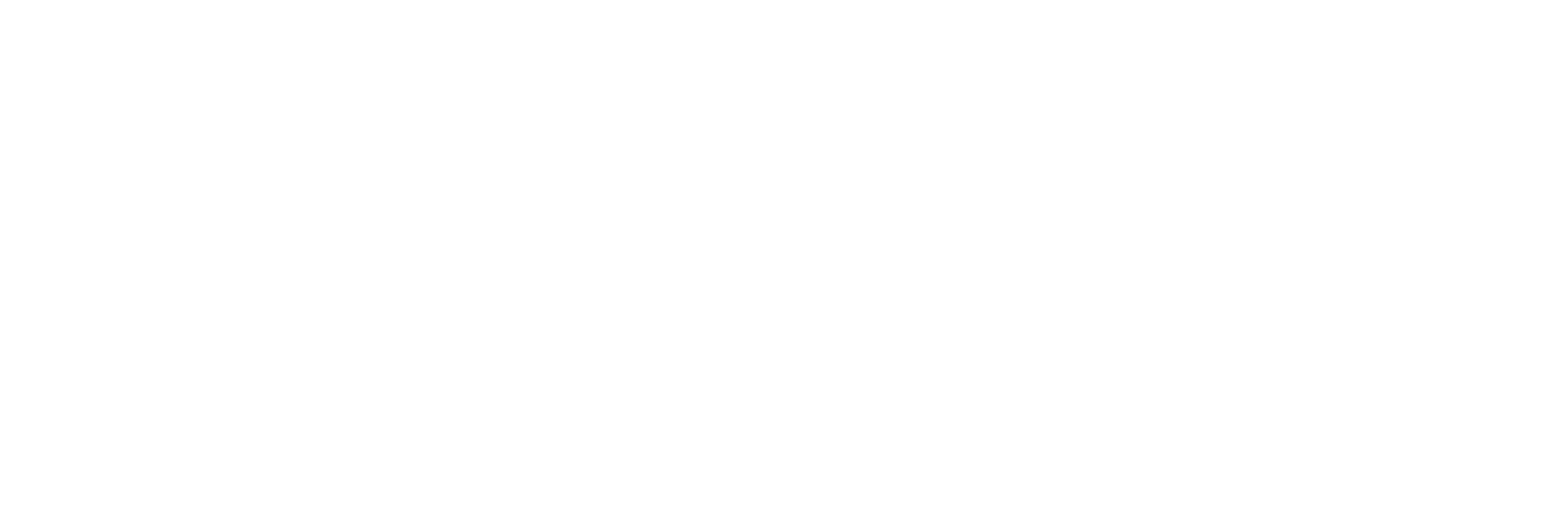 Logo Velo Connect